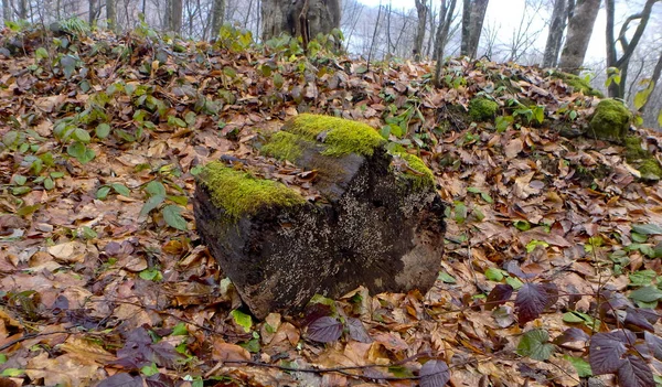 Ubicación República Adygea Área Aldea Dakhovskaya Camino Abandonado Uranio Barita —  Fotos de Stock