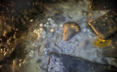 Terk edilmiş uranyum-barit adits. Konum-Rusya, Adygea Cumhuriyeti, Dakhovskaya köyünün alanı. Yüksek radyasyondan dolayı bazı adit bölgelerini ziyaret etmek tehlikelidir..