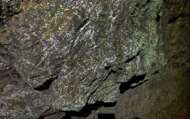 Terk edilmiş uranyum-barit adits. Konum-Rusya, Adygea Cumhuriyeti, Dakhovskaya köyünün alanı. Yüksek radyasyondan dolayı bazı adit bölgelerini ziyaret etmek tehlikelidir..