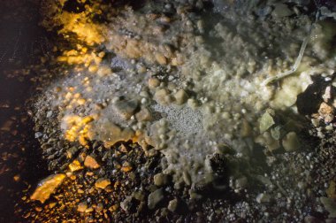 Terk edilmiş uranyum-barit adits. Konum-Rusya, Adygea Cumhuriyeti, Dakhovskaya köyünün alanı. Yüksek radyasyondan dolayı bazı adit bölgelerini ziyaret etmek tehlikelidir..