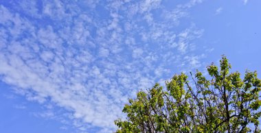 Açık mavi gökyüzü her insana huzur ve huzuru garanti eder..