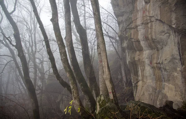 Emplacement Russie Territoire Krasnodar Mostovskoy District Endroit Idéal Pour Randonnée — Photo