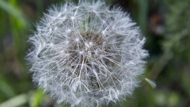 Yeri Rusya, Krasnodar Bölgesi, Ust-Labinsky bölgesi. Tarihsel geçmişi olan şaşırtıcı doğal yerler. Yürüyüş