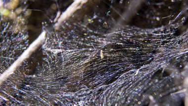 Yeri Rusya, Krasnodar Bölgesi, Ust-Labinsky bölgesi. Tarihsel geçmişi olan şaşırtıcı doğal yerler. Yürüyüş