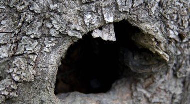 Yeri Rusya, Krasnodar Bölgesi, Ust-Labinsky bölgesi. Tarihsel geçmişi olan şaşırtıcı doğal yerler. Yürüyüş