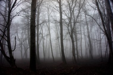 Konum - Kuzey Kafkasya, Adygea Cumhuriyeti. İnanılmaz dağlık alanlarda yürüyüş..