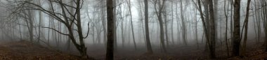 Konum - Kuzey Kafkasya, Adygea Cumhuriyeti. İnanılmaz dağlık alanlarda yürüyüş..
