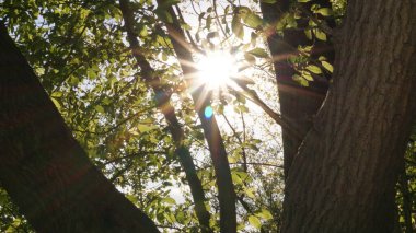 Yeri Rusya, Krasnodar Bölgesi, Ust-Labinsky bölgesi. Tarihsel geçmişi olan şaşırtıcı doğal yerler. Yürüyüş