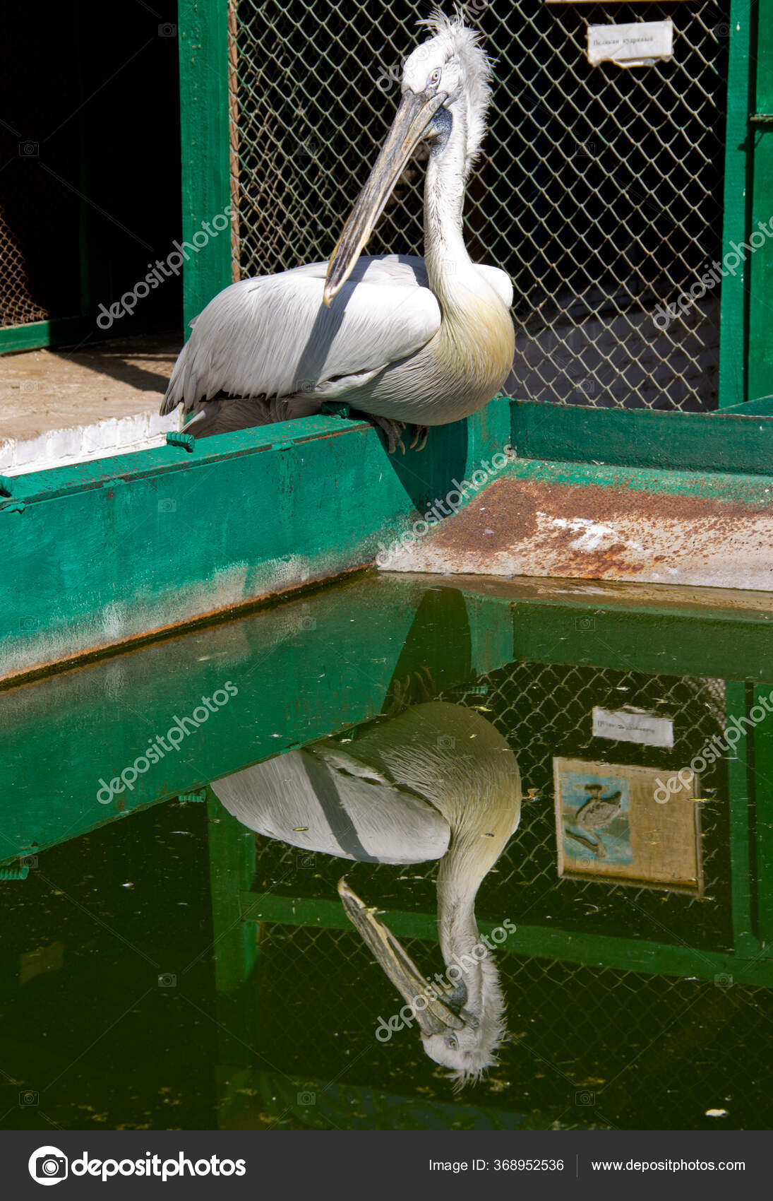 Location Russia Krasnodar Territory Ust Labinsky District Amazing