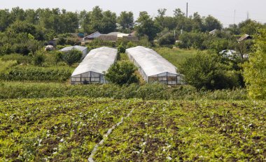 Yeri Rusya, Krasnodar Bölgesi, Ust-Labinsky bölgesi. Tarihsel geçmişi olan şaşırtıcı doğal yerler. Yürüyüş.