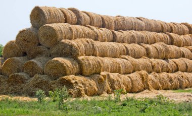 Yeri Rusya, Krasnodar Bölgesi, Ust-Labinsky bölgesi. Tarihsel geçmişi olan şaşırtıcı doğal yerler. Yürüyüş