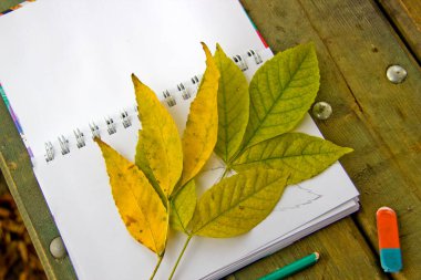 Yeri Rusya, Krasnodar Bölgesi, Ust-Labinsky bölgesi. Tarihsel geçmişi olan şaşırtıcı doğal yerler. Yürüyüş