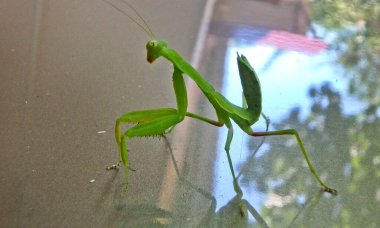 Yeri Rusya, Krasnodar Bölgesi, Ust-Labinsky bölgesi. Tarihsel geçmişi olan şaşırtıcı doğal yerler. HikingRA