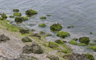 Rusya, Krasnodar Bölgesi, Azov Sahili. Tatil beldeleri, turizm, balıkçılar ve eğlence bölgesi.