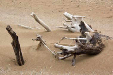 Rusya, Krasnodar Bölgesi, Azov Sahili. Tatil beldeleri, turizm, balıkçılar ve eğlence bölgesi.