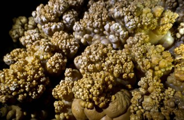 Konum Rusya, Krasnodar Bölgesi. Isichenko mağarası, hayranların ulaşamayacağı güzellikte ve Kafkasya 'daki en uzun mağaralardan biridir. Sıra dışı mağara.