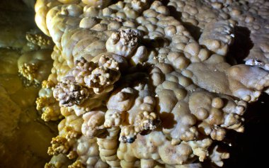 Konum Rusya, Krasnodar Bölgesi. Isichenko mağarası, hayranların ulaşamayacağı güzellikte ve Kafkasya 'daki en uzun mağaralardan biridir. Sıra dışı mağara.