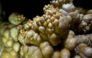 Konum Rusya, Krasnodar Bölgesi. Isichenko mağarası, hayranların ulaşamayacağı güzellikte ve Kafkasya 'daki en uzun mağaralardan biridir. Sıra dışı mağara.