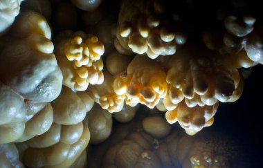 Konum Rusya, Krasnodar Bölgesi. Isichenko mağarası, hayranların ulaşamayacağı güzellikte ve Kafkasya 'daki en uzun mağaralardan biridir. Sıra dışı mağara.