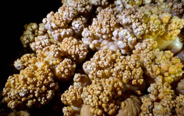 Konum Rusya, Krasnodar Bölgesi. Isichenko mağarası, hayranların ulaşamayacağı güzellikte ve Kafkasya 'daki en uzun mağaralardan biridir. Sıra dışı mağara.