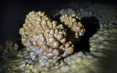 Konum Rusya, Krasnodar Bölgesi. Isichenko mağarası, hayranların ulaşamayacağı güzellikte ve Kafkasya 'daki en uzun mağaralardan biridir. Sıra dışı mağara.