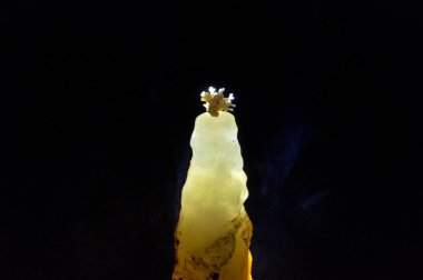 Konum Rusya, Krasnodar Bölgesi. Isichenko mağarası, hayranların ulaşamayacağı güzellikte ve Kafkasya 'daki en uzun mağaralardan biridir. Sıra dışı mağara.