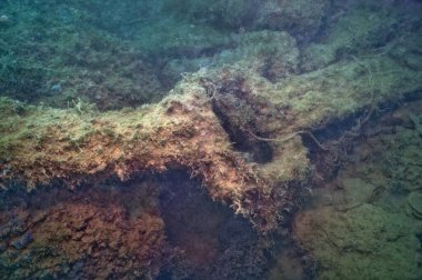  Konum Rusya, Taman Yarımadası, Kerch Boğazı. Aktif bir nakliye bölgesi, inanılmaz bir kıyı doğal bölgesi, zengin bir sualtı dünyası ve eşsiz tarihsel keşifler.. 