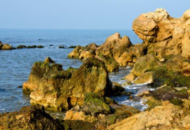  Konum Rusya, Taman Yarımadası, Kerch Boğazı. Aktif bir nakliye bölgesi, inanılmaz bir kıyı doğal bölgesi, zengin bir sualtı dünyası ve eşsiz tarihsel keşifler..