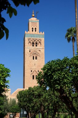Afrique - Maroc - Marrakech 