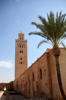 Afrique - Maroc - Marrakech 