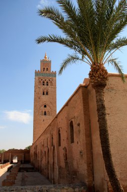 Afrique - Maroc - Marrakech 