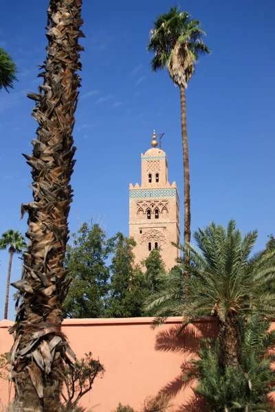 Afrique - Maroc - Marrakech —  Fotos de Stock