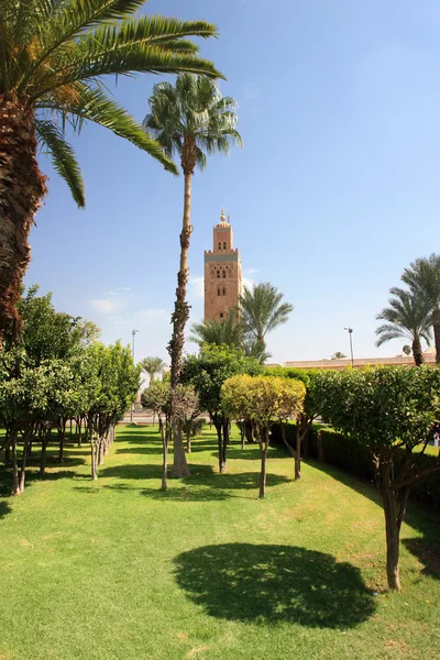 Afrique - Maroc - Marrakech —  Fotos de Stock