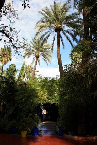 Afrique - Maroc - Marrakech —  Fotos de Stock