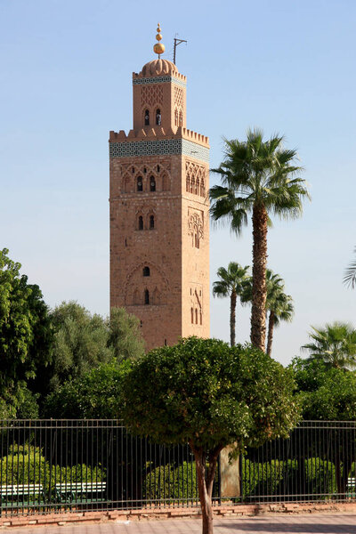 Africa - Morocco - Marrakesh