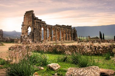 Volubilis, Fas Antik Roma kenti