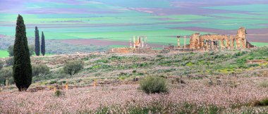 Volubilis, Fas Antik Roma kenti