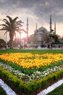 Türkiye'de İstanbul Şehir güzel görünüm