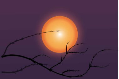 Lüks bir dolunay konseptine sahip arka plan.