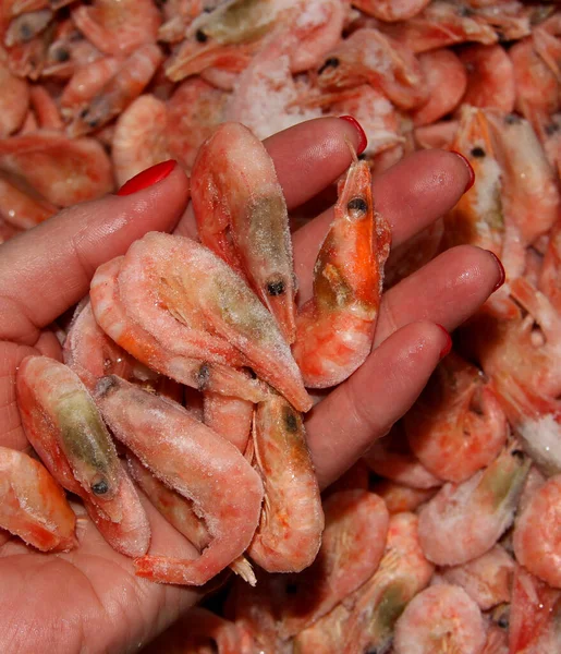 Seafood in a woman\'s hand. Frozen shrimp