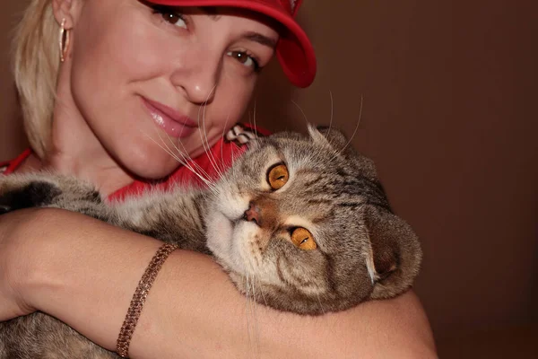 Portrait of a cat lying in the arms of the owner. Cat with big eyes on the handles