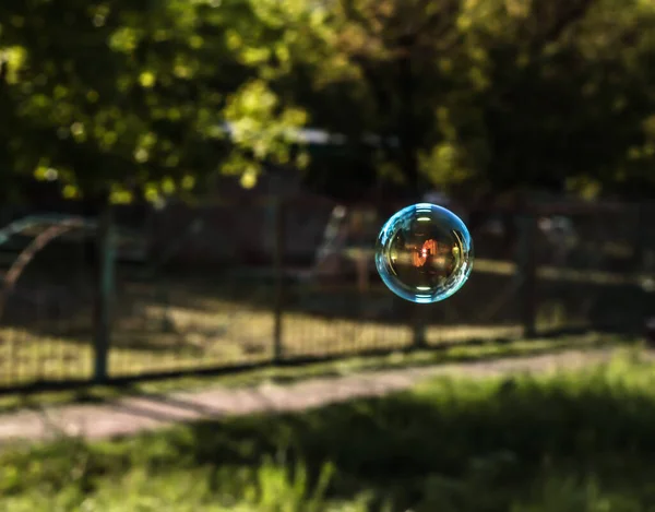 Soap bubble on a green background. Rainbow bubble.