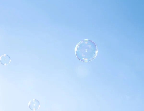 Soap bubble on a blue background. Rainbow bubble.
