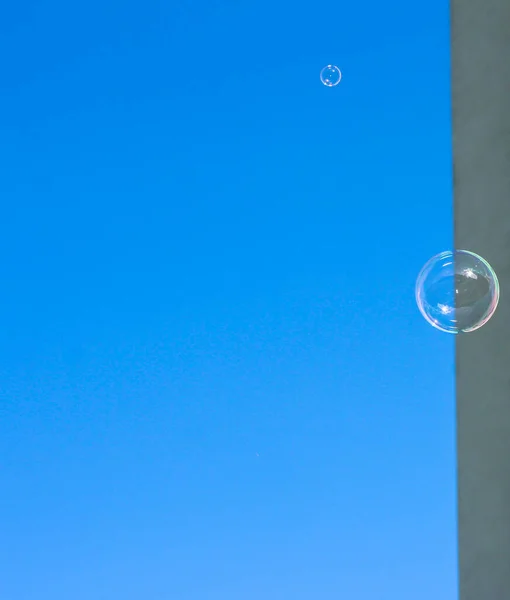 Soap bubble on a blue background. Flying bubble. Rainbow soap bubble.