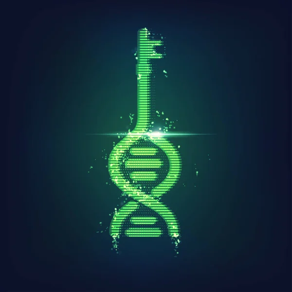 Forma Dna Combinada Com Chave Conceito Tecnologia Biométrica — Vetor de Stock