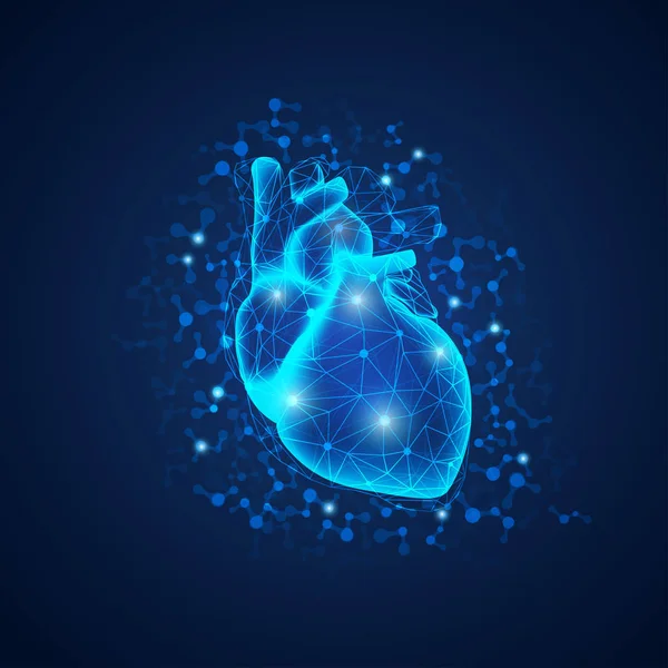 Bilimsel Tarzda Çokgen Yapıya Sahip Gerçekçi Kalp Grafiği Bilim Teknolojisi — Stok Vektör