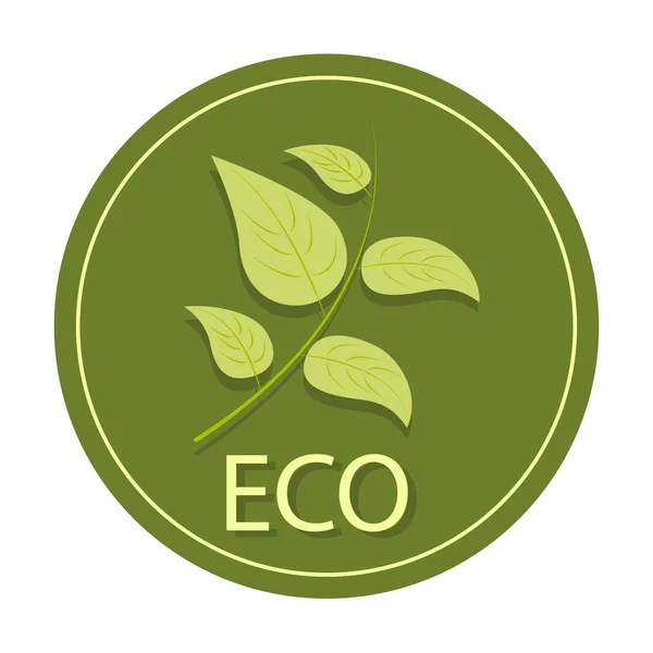 Vector Pictogram Eco Vriendelijk Afbeelding Van Bladeren Een Groene Ronde — Stockvector