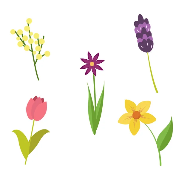 봄의 꽃들, 납작 한 모양, 흰 배경에 따로 떨어져 있는 것. Stock vector graphics. — 스톡 벡터