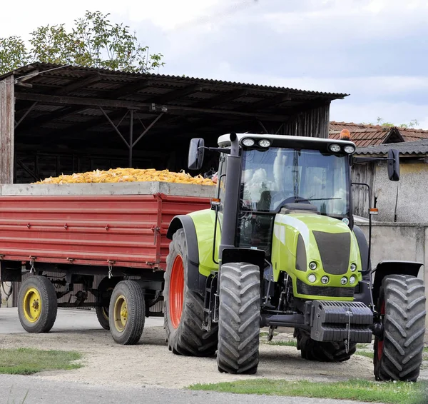 Bonde på traktor skörda majs i höstsäsongen — Stockfoto