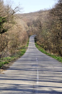Erken baharda ormandaki yaşlı yol